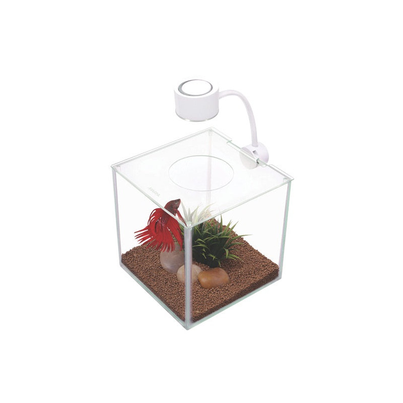 Bettera de cristal con iluminación Marina Cubus - 3,4L