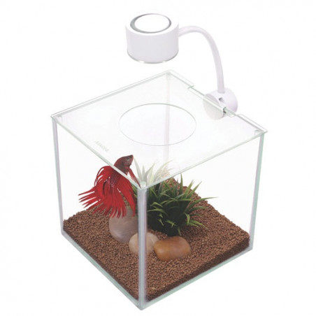 Bettera de cristal con iluminación Marina Cubus - 3,4L