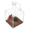 Bettera de cristal con iluminación Marina Cubus - 3,4L
