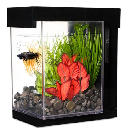 Bettera Marina EZ Care Style - 3,7L