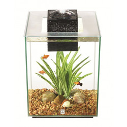 Nano acuario de diseño Fluval Chi