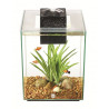 Nano acuario de diseño Fluval Chi