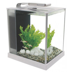 Nano acuario de diseño Fluval Spec de 10L