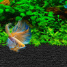 Sustrato para Bettas Fluval Stratum