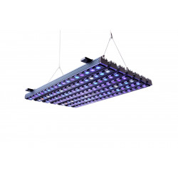 Orphek OR3 60 Sky Blue - 30 W - 635x50x36 mm