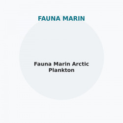 Fauna Marin Arctic Plankton