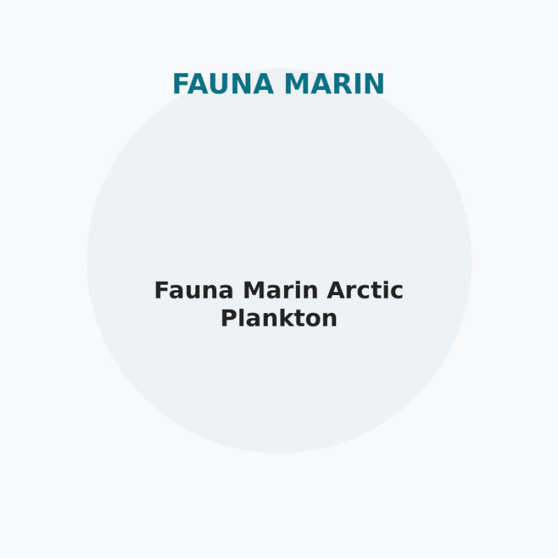 Fauna Marin Arctic Plankton