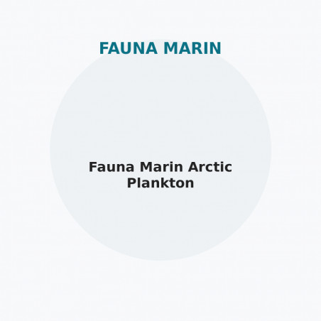 Fauna Marin Arctic Plankton