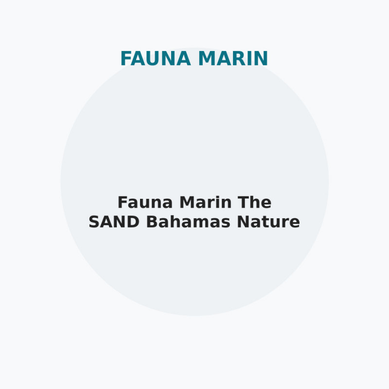Fauna Marin The SAND Bahamas Nature