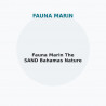 Fauna Marin The SAND Bahamas Nature