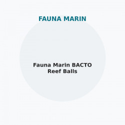 Fauna Marin BACTO Reef Balls