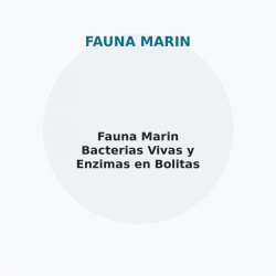 Fauna Marin Bacterias Vivas y Enzimas en Bolitas de Gel