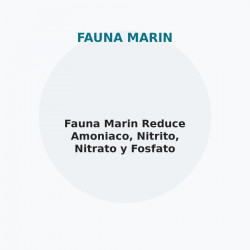 Fauna Marin Reduce Amoniaco, Nitrito, Nitrato y Fosfato