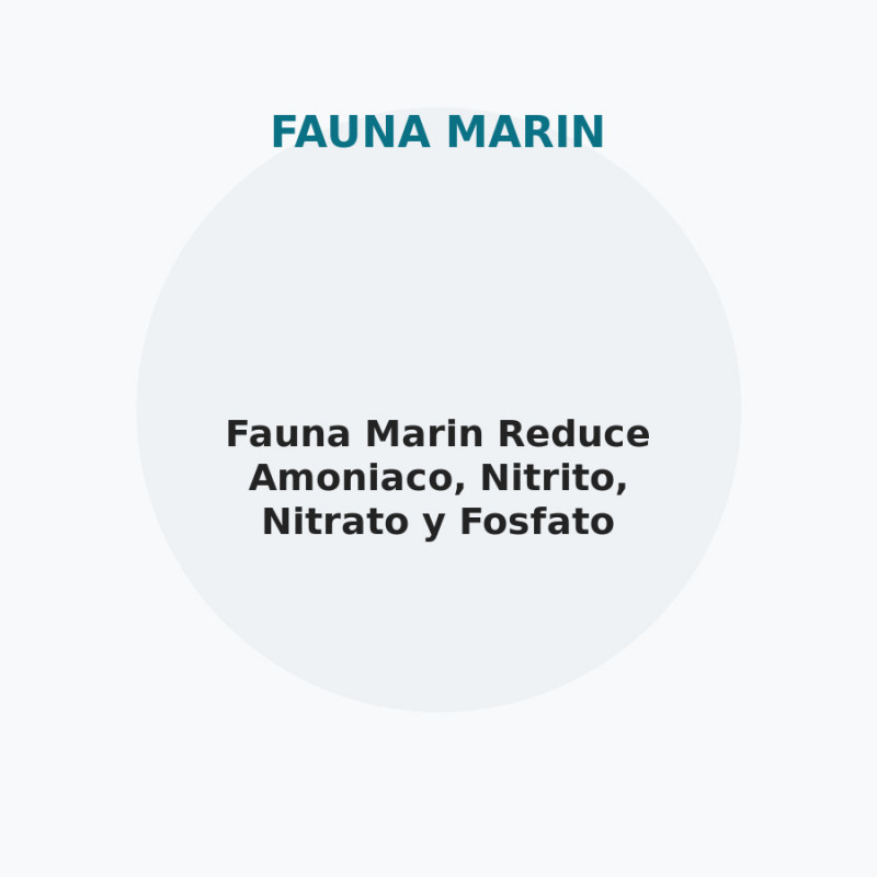 Fauna Marin Reduce Amoniaco, Nitrito, Nitrato y Fosfato