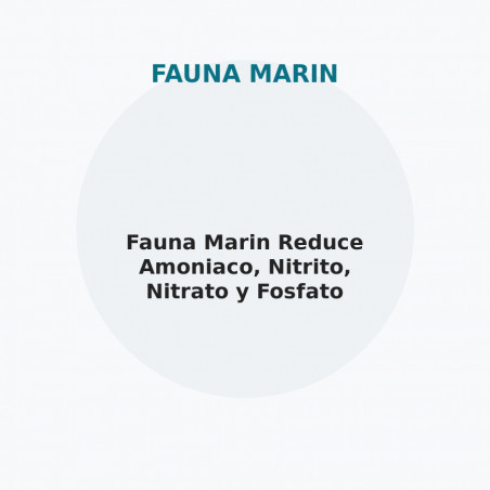 Fauna Marin Reduce Amoniaco, Nitrito, Nitrato y Fosfato