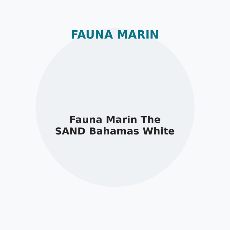 Fauna Marin The SAND Bahamas White