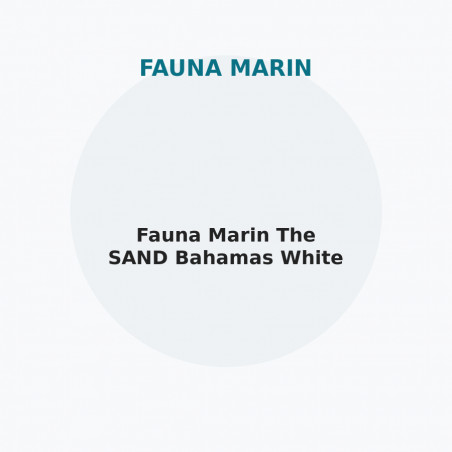 Fauna Marin The SAND Bahamas White