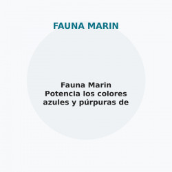 Fauna Marin Potencia los colores azules y púrpuras de los corales