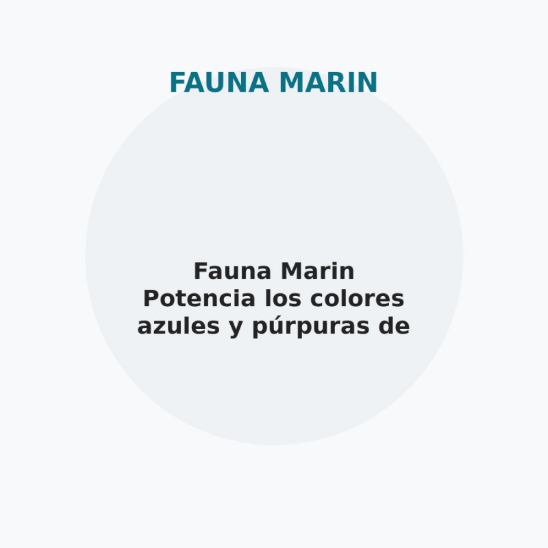 Fauna Marin Potencia los colores azules y púrpuras de los corales