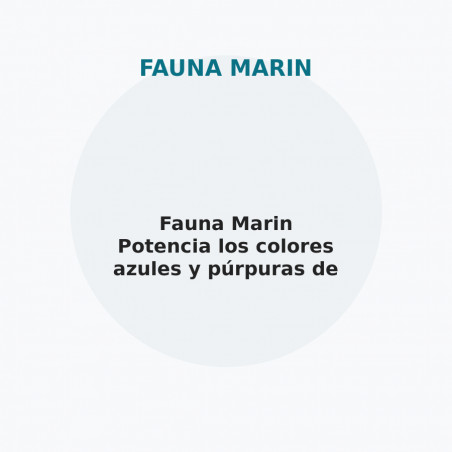 Fauna Marin Potencia los colores azules y púrpuras de los corales