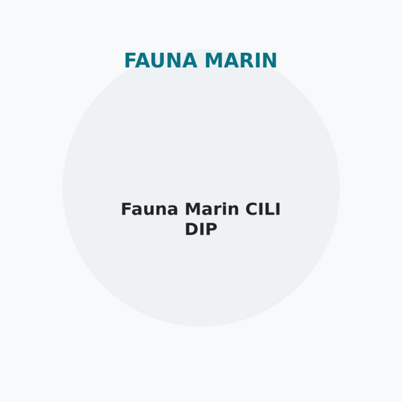 Fauna Marin CILI DIP
