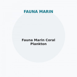 Fauna Marin Coral Plankton