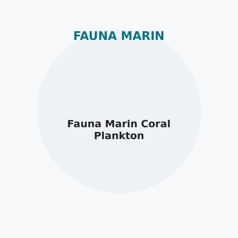 Fauna Marin Coral Plankton