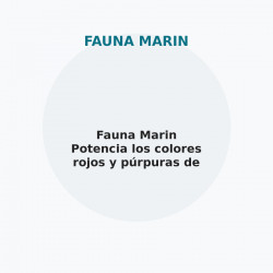 Fauna Marin Potencia los colores rojos y púrpuras de los corales