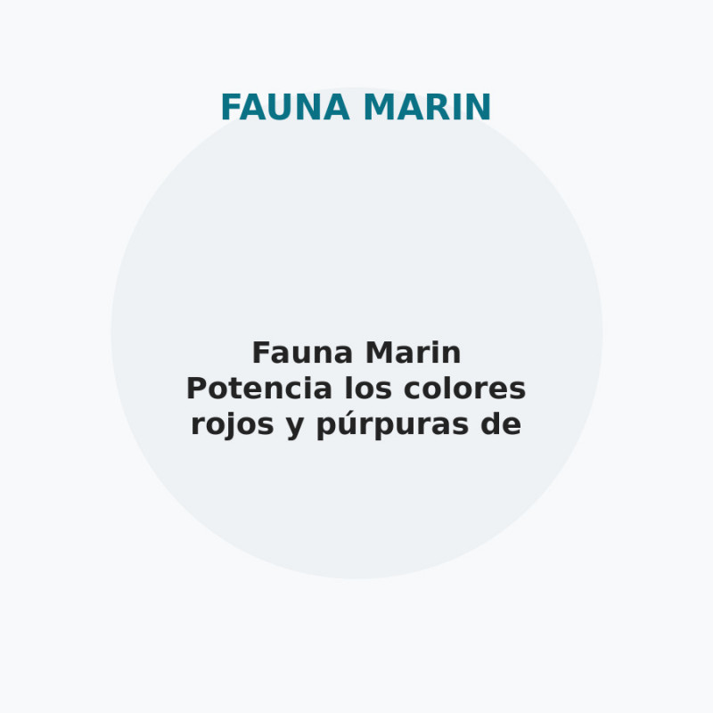 Fauna Marin Potencia los colores rojos y púrpuras de los corales
