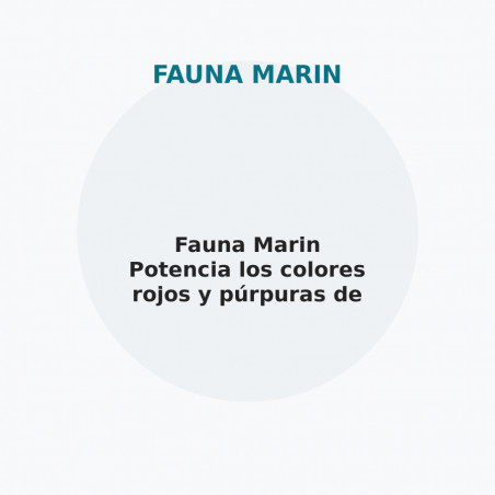 Fauna Marin Potencia los colores rojos y púrpuras de los corales