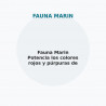 Fauna Marin Potencia los colores rojos y púrpuras de los corales