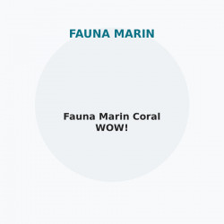 Fauna Marin Coral WOW!