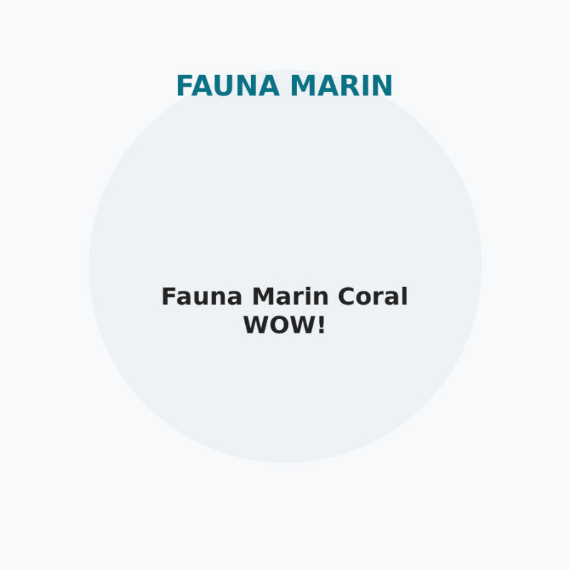 Fauna Marin Coral WOW!