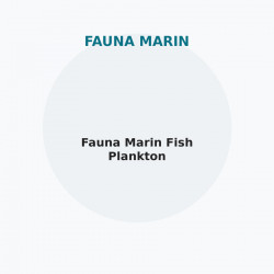 Fauna Marin Fish Plankton