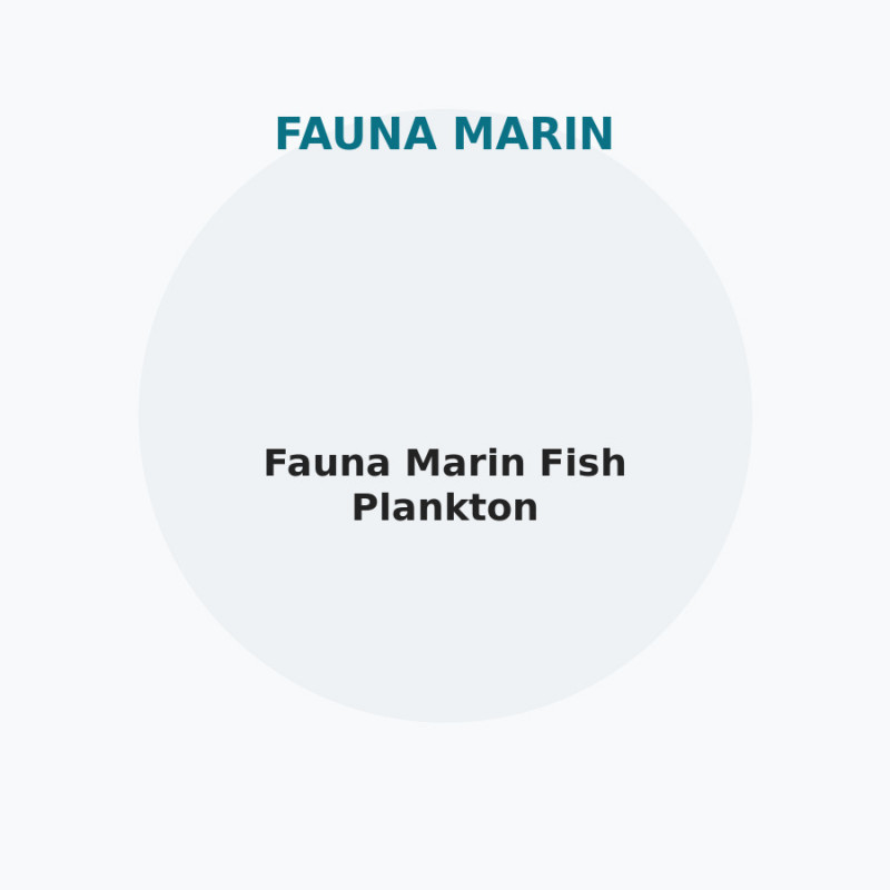 Fauna Marin Fish Plankton