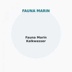 Fauna Marin Kalkwasser