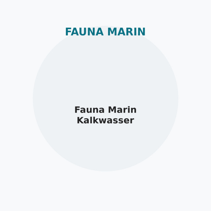 Fauna Marin Kalkwasser