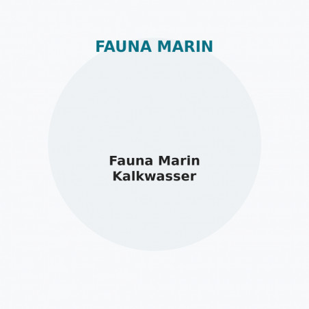 Fauna Marin Kalkwasser