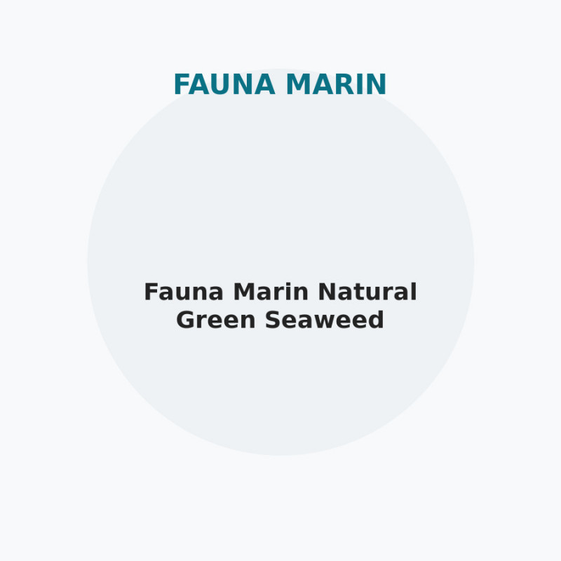 Fauna Marin Natural Green Seaweed