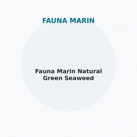 Fauna Marin Natural Green Seaweed