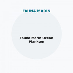 Fauna Marin Ocean Plankton
