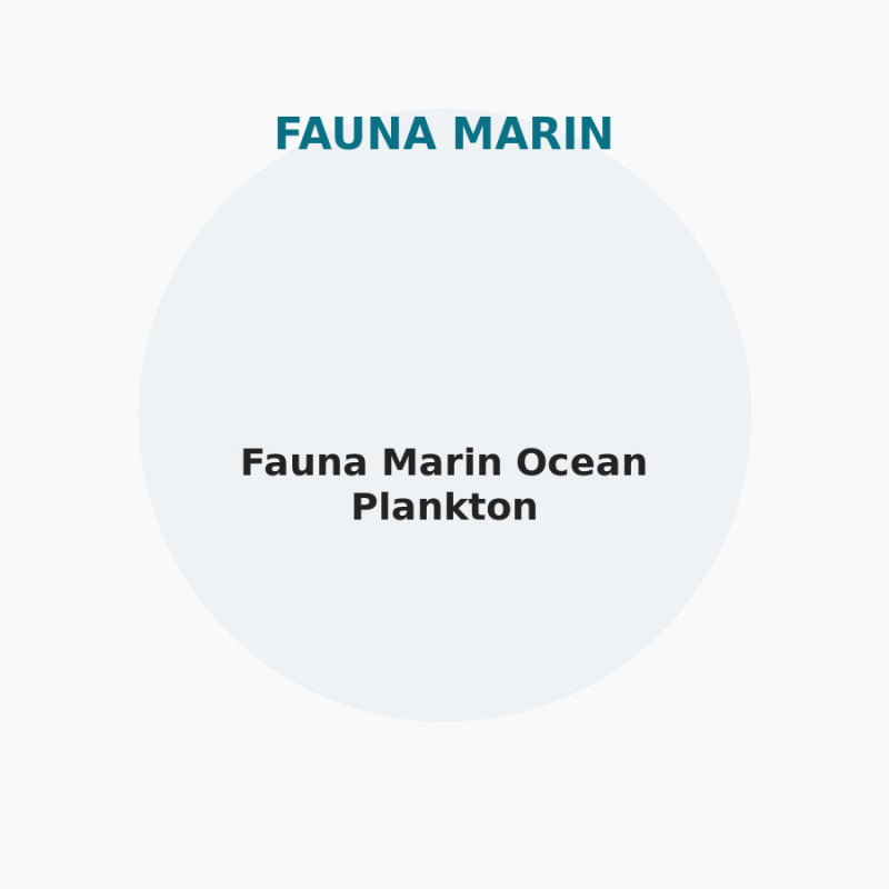 Fauna Marin Ocean Plankton