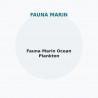 Fauna Marin Ocean Plankton