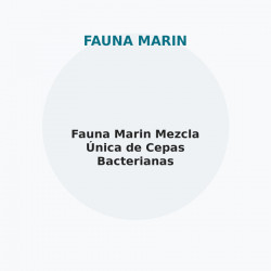 Fauna Marin Mezcla Única de Cepas Bacterianas