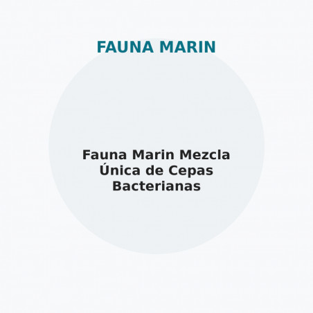 Fauna Marin Mezcla Única de Cepas Bacterianas