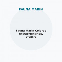 Fauna Marin Colores extraordinarios, vivos y fluorescentes