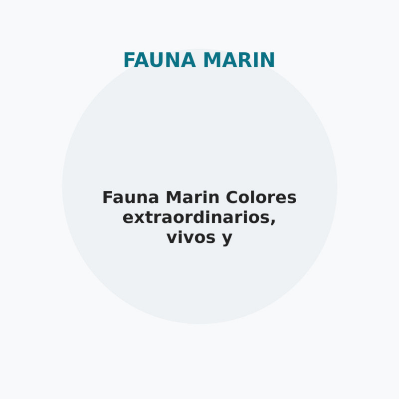 Fauna Marin Colores extraordinarios, vivos y fluorescentes