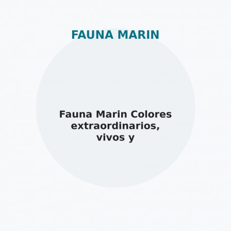 Fauna Marin Colores extraordinarios, vivos y fluorescentes