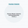 Fauna Marin Colores extraordinarios, vivos y fluorescentes