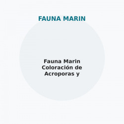Fauna Marin Coloración de Acroporas y Pocilloporas